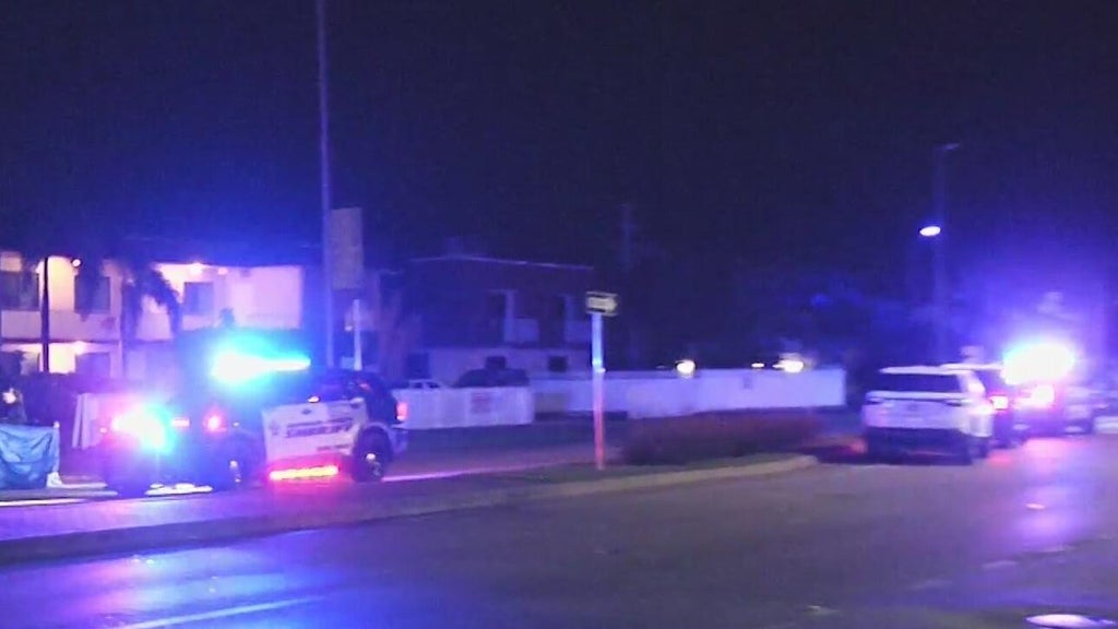 Woman accused of killing man in Dania Beach hit-and-run, BSO says — CBS Miami, Atherton Community news