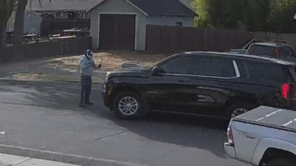 Woodland police dispute DHS account of ICE agent's collision with pedestrian — CBS Bay Area (KPIX), Atherton Health news