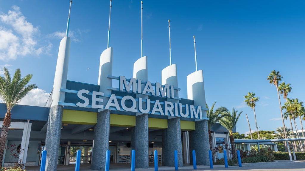 2 Miami-Dade residents sue to require countywide vote on Miami Seaquarium marina development plan — CBS Miami, Atherton Real Estate news