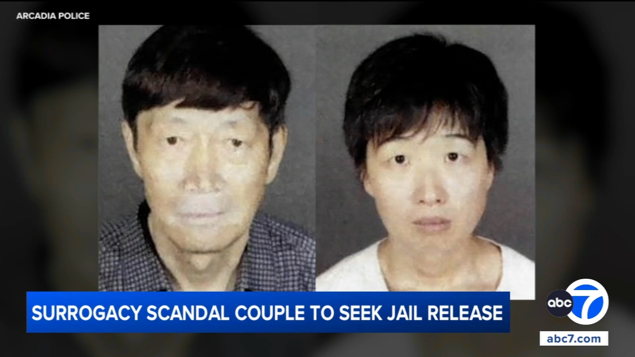 California couple accused in surrogacy scandal to seek release from jail, attorneys say
       — ABC 7 Bay Area, Atherton Community news