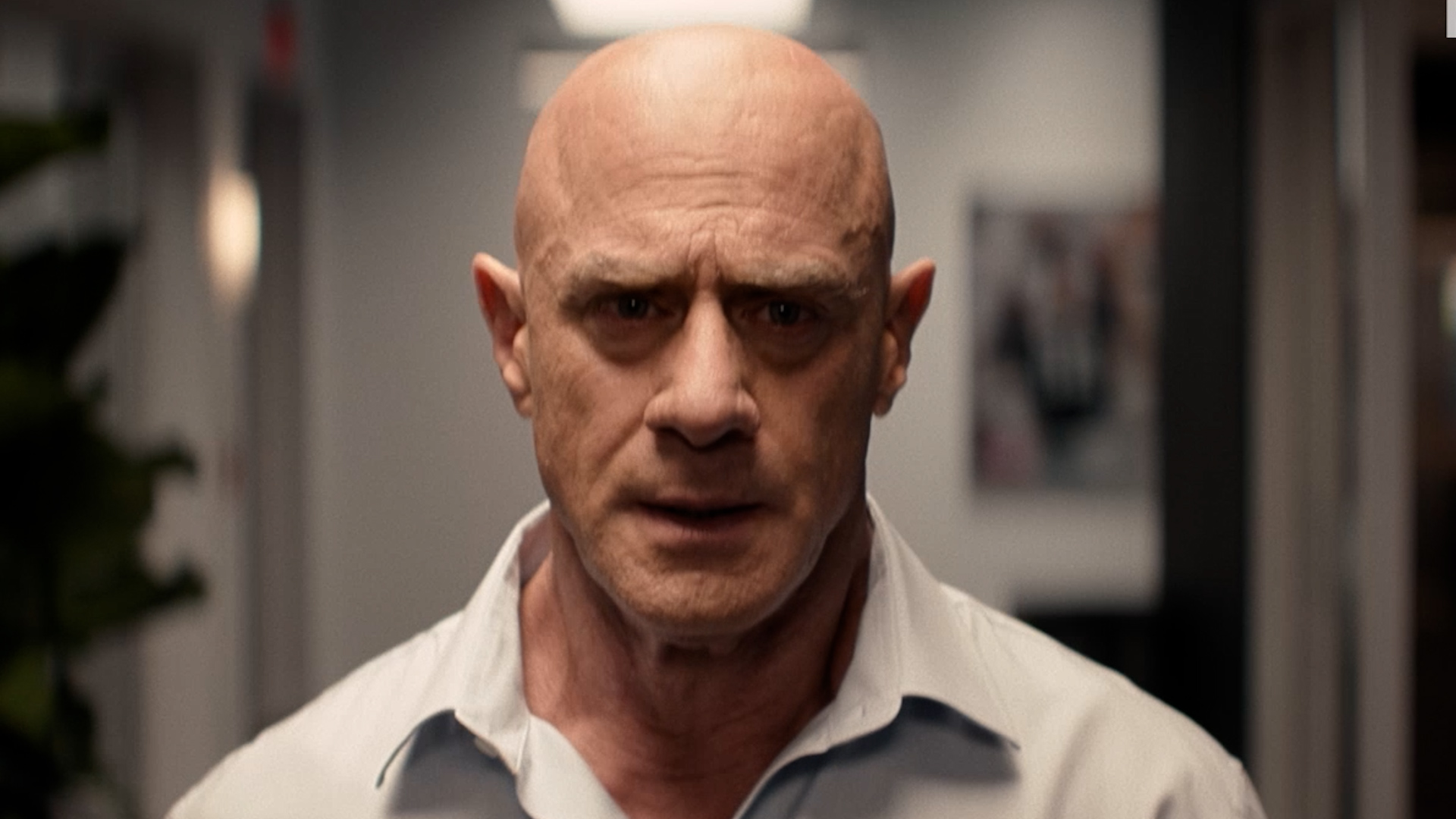 Christopher Meloni, William H. Macy talk football, family in 'The Land' trailer
       — ABC 7 Bay Area, Atherton Sports news