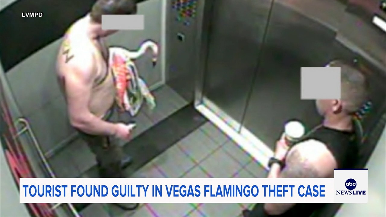 Man who snatched Peachy the flamingo from Las Vegas hotel exhibit found guilty of animal cruelty

       — ABC 7 Bay Area, Atherton Arts news