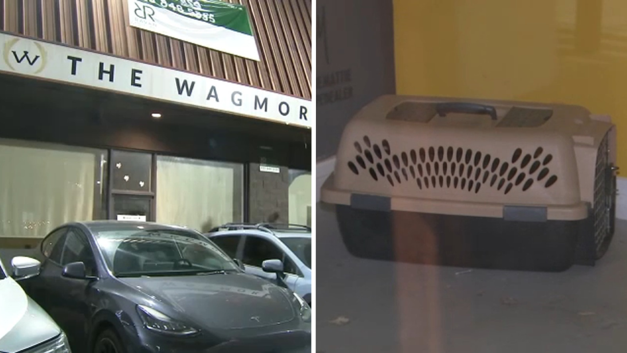 Lawsuit accuses Los Angeles animal rescue of running puppy laundering operation

       — ABC 7 Bay Area