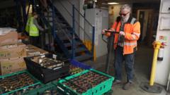 Food aid charity under pressure from fuel costs — BBC Business, Atherton Business news
