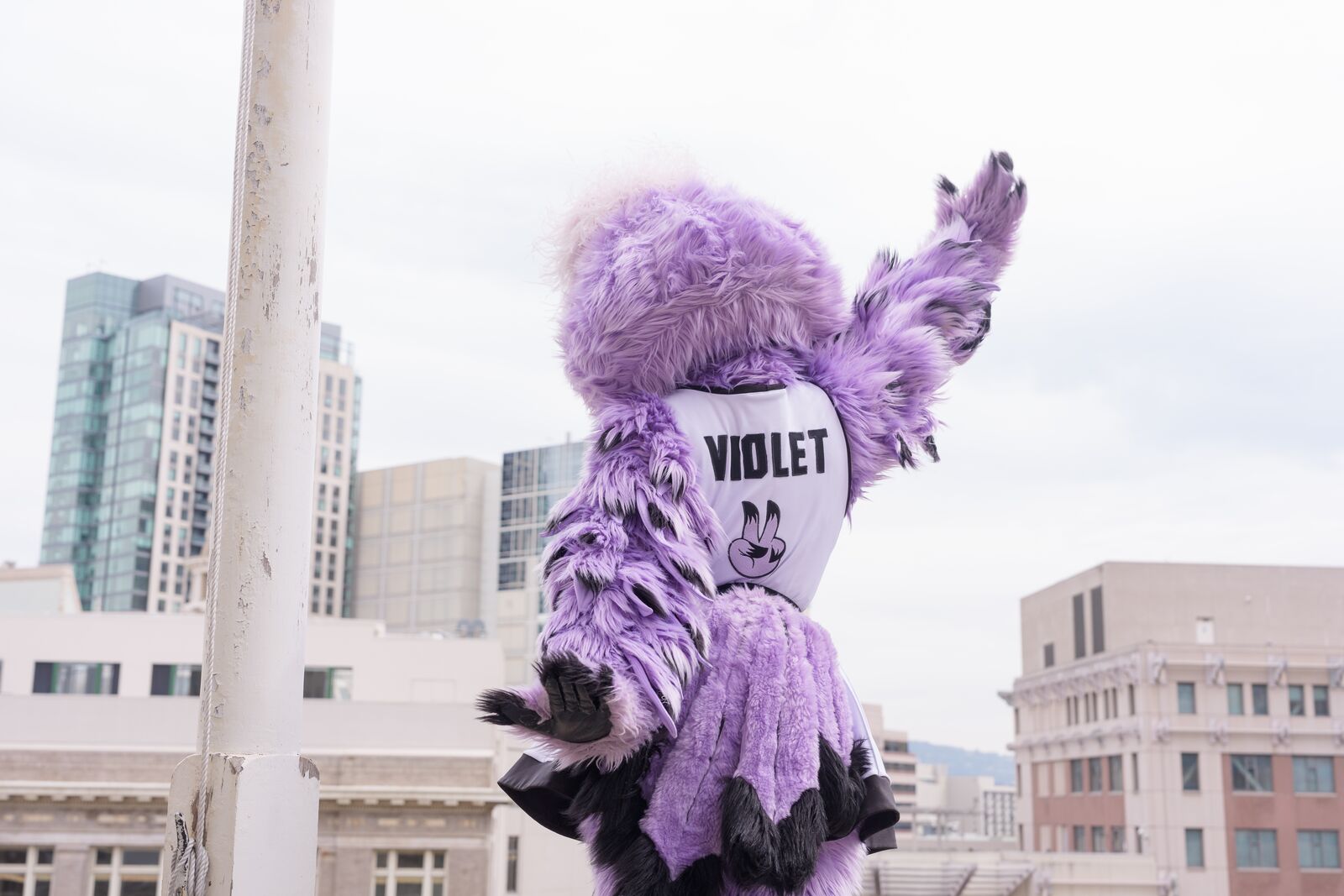 This week in Oakland: an outdoor Valkyries watch party, and singersongwriter Laura Anglade at Yoshi’s — The Oaklandside, Atherton Arts news