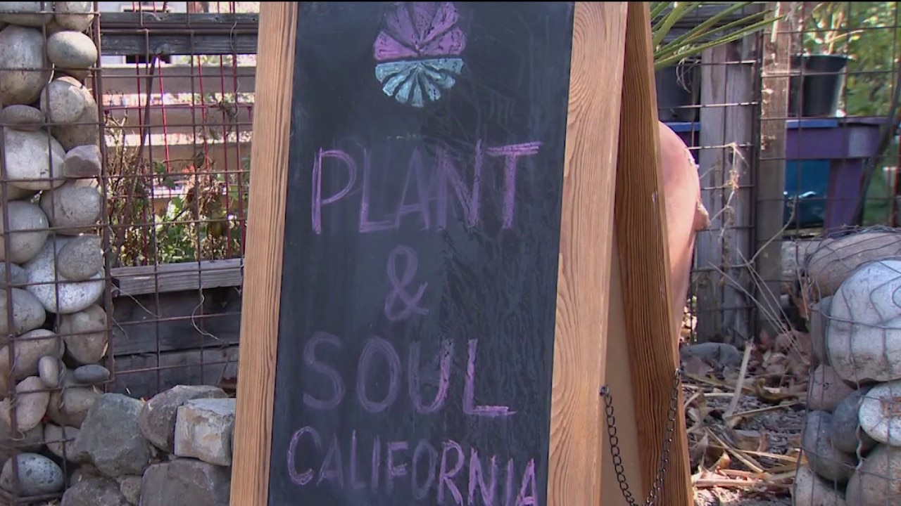 San Jose community garden faces possible eviction — KTVU FOX 2 Bay Area, Atherton Schools news