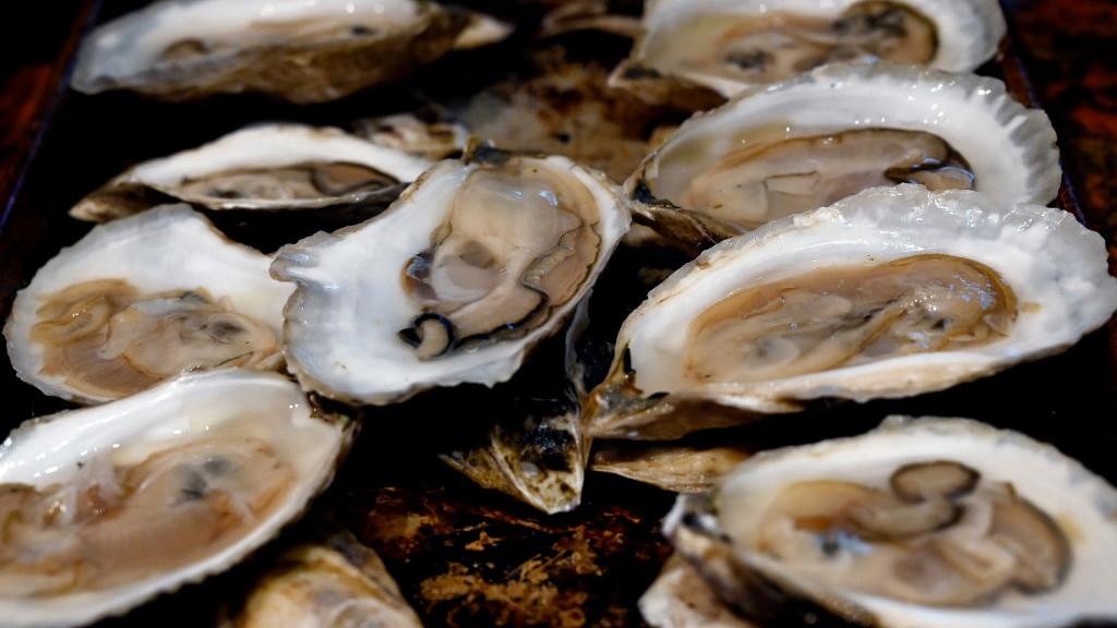 Sewage leak temporarily halts Tomales Bay oyster harvest — KTVU FOX 2 Bay Area, Atherton Business news