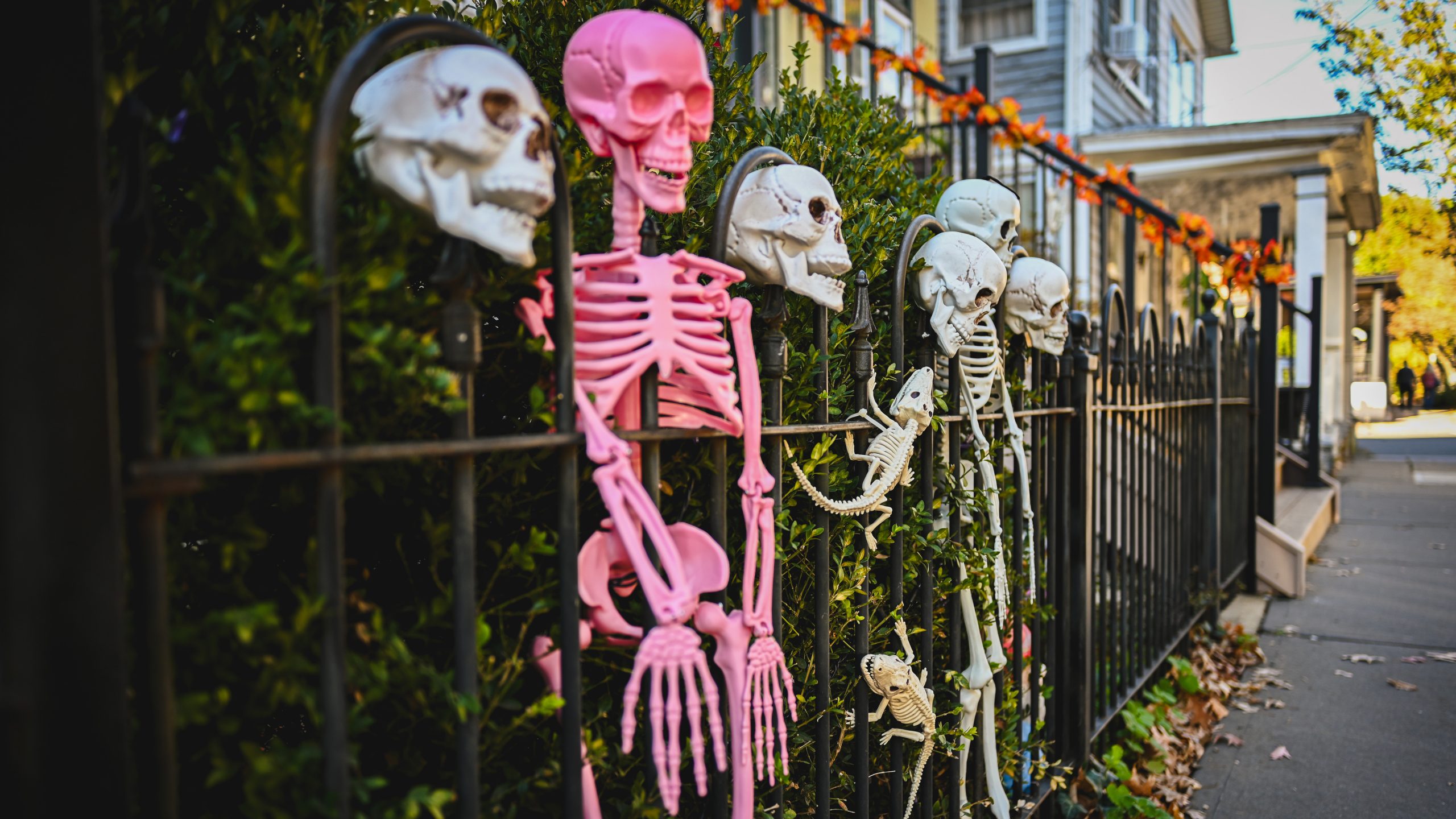 America's best cities for Halloween, ranked — KTVU FOX 2 Bay Area, Atherton Community news